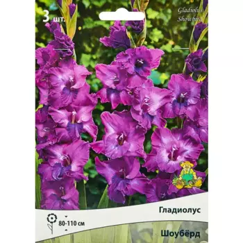 Гладиолус крупноцветковый Шоуберд, 3 шт.