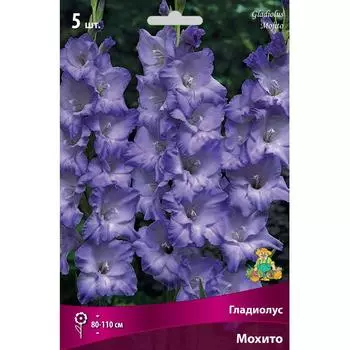Гладиолусы крупноцветковые Мохито 12/14, 5 шт