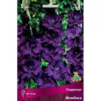 Гладиолусы крупноцветковые Момбаса 12/14, 5 шт