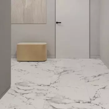 Глазурованный керамогранит Arcadia Ceramica Borghini Silver Carving 60x60 см 1.44 м матовый цвет белый