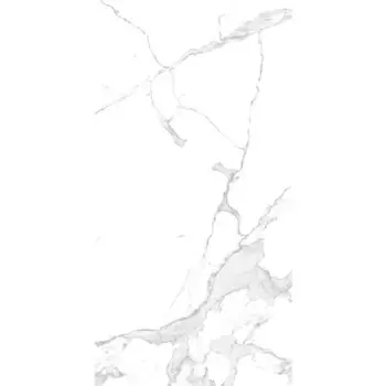 Глазурованный керамогранит Arcadia Ceramica Paradise Statuario Carving 60x120 см 1.44 м матовый цвет белый