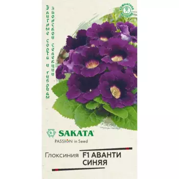 Глоксиния Аванти Саката синяя 5 шт.