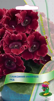 Глоксиния комнатная «Импресс Ред», 6 г