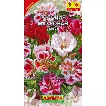 Годеция «Махровая» смесь окрасок