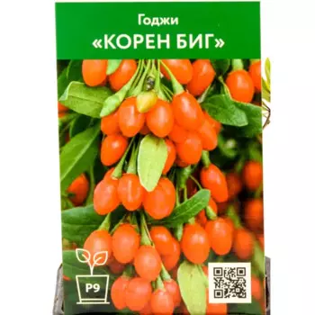 Годжи Корен Биг h30 см