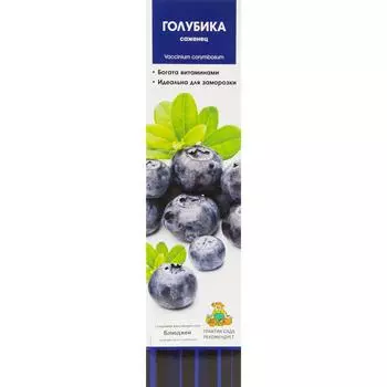 Голубика высокорослая Блюджей