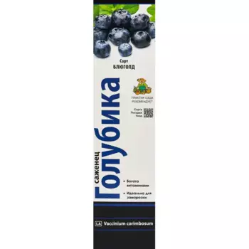 Голубика высокорослая Блюголд h40 см
