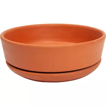 Горшок для цветов Огма № 6 бонсай 26 см v2.6 л бежевый