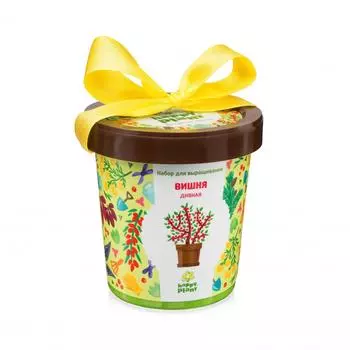 Горшок «Вишня дивная»