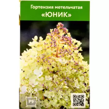 Гортензия Юник 9 см h55 см