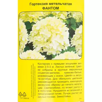 Гортензия метельчатая Фантом h40 см