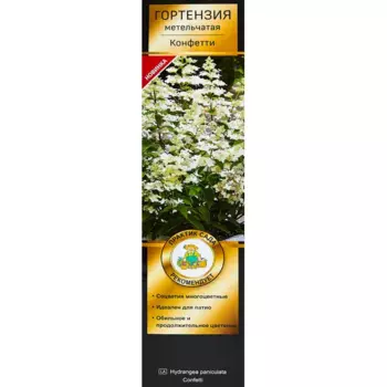 Гортензия метельчатая Конфетти 5 h35 см