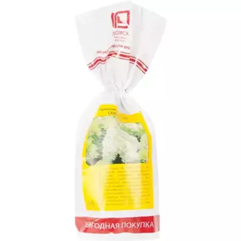 Гортензия метельчатая Селекшен h40 см