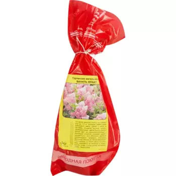 Гортензия метельчатая Ваниль Фрайз 5 h35 см