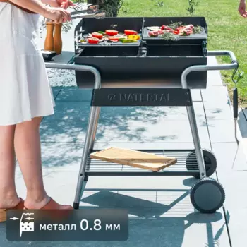 Гриль угольный передвижной Naterial Icarus Alpha 59x110x92 см