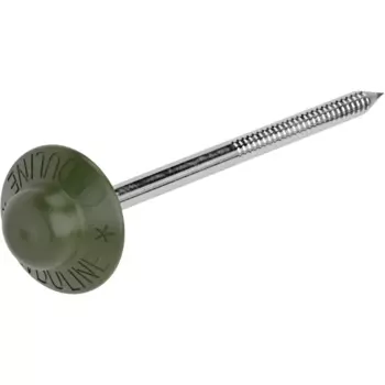 Гвозди кровельные ершёные для Ондулина цвет зеленый 0.5 кг (100 шт.)