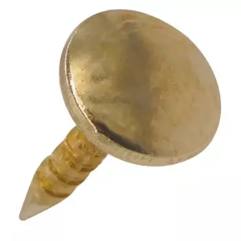 Гвозди декоративные 10x15 мм 10 шт.