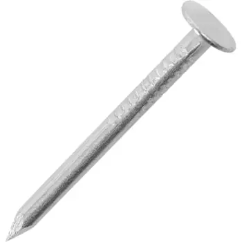 Гвозди толевые 2x25 мм, оцинкованные, 0.2 кг