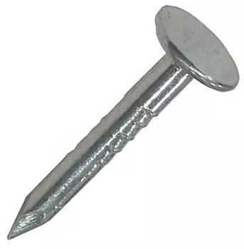 Гвозди толевые оцинкованные 2.8х25, 0.2 кг