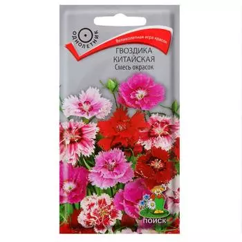 Гвоздика китайская «Персидский ковёр»