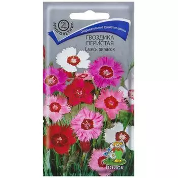Гвоздика перистая смесь окрасок