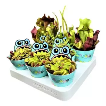 Хищные растения микс 9 h100 см