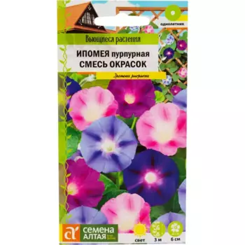 Ипомея «Пурпурная» смесь окрасок