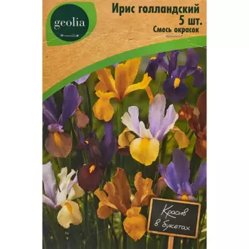 Ирис Geolia голландский смесь окрасок 5 шт