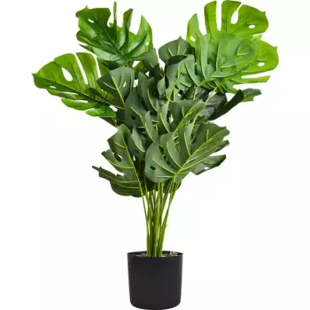 Искусственное растение Монстера Борзига 70 см