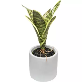 Искусственное растение в горшке 10x9 см h25 см