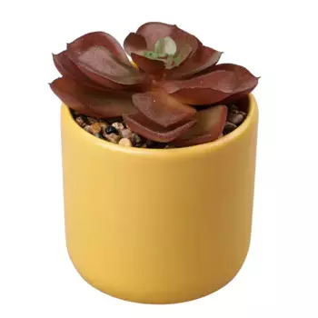 Искусственное растение в горшке Dream River 12 см