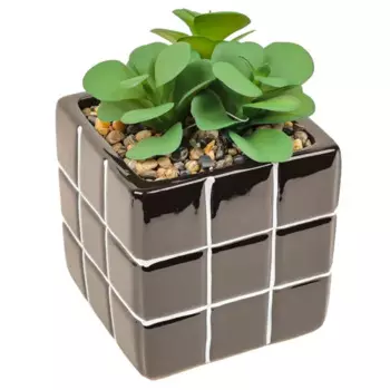 Искусственное растение в горшке Dream River Куб 17 см
