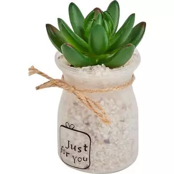 Искусственное растение в полупрозрачном горшке вид 1