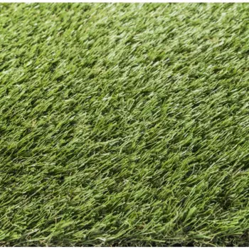 Искусственный газон «Beginia» толщина 25 мм 2x5 м цвет зеленый