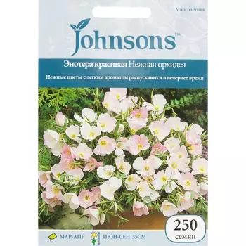 Энотера Нежная орхидея