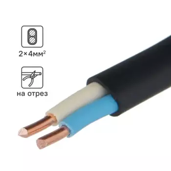 Кабель Промэко ВВГпнг(A)-LS 2x4 100 м ГОСТ