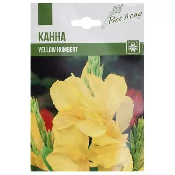 Канна Йелоу Хамберт I