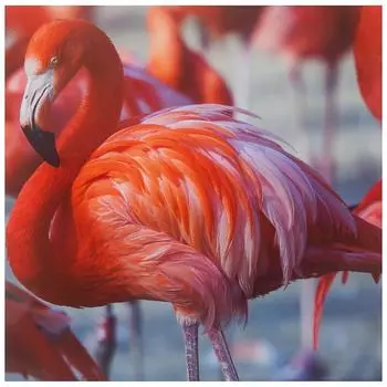 Картина без рамы 30х30 см «Фламинго»