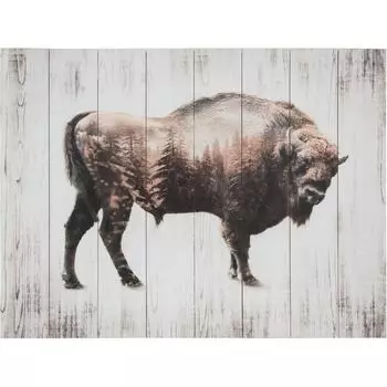 Картина на досках «Буффало» 60x80см