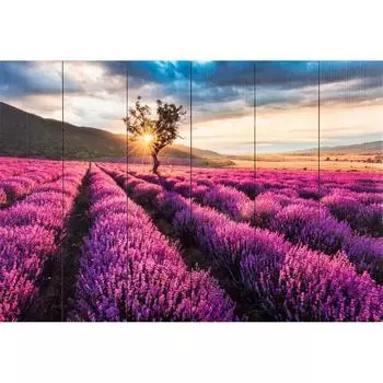 Картина на досках «Лаванда» 40х60 см