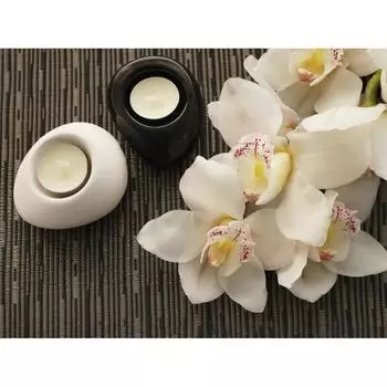 Картина на холсте «Белые орхидеи» 40x50 см