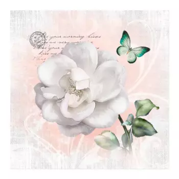 Картина на холсте Белый цветок 30x30 см