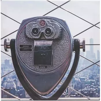 Картина на холсте «Бинокль» 30x30 см