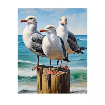 Картина на холсте Fbrush Три чайки 40x50 см