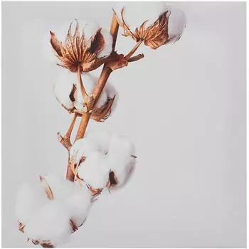 Картина на холсте «Хлопок» 30x30 см