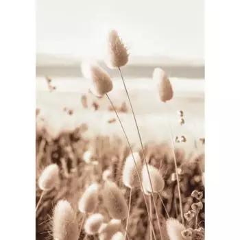 Картина на холсте Колоски 40x60 см