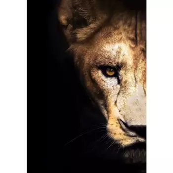 Картина на холсте Львица 40x60 см