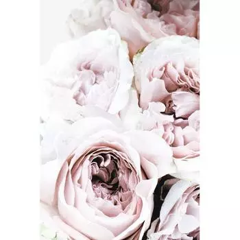 Картина на холсте «Нежные пионы 1» 40x60 см