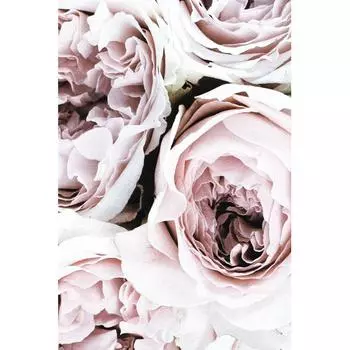 Картина на холсте «Нежные пионы 2» 40x60 см