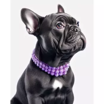 Картина на холсте Пес 3 40x50 см